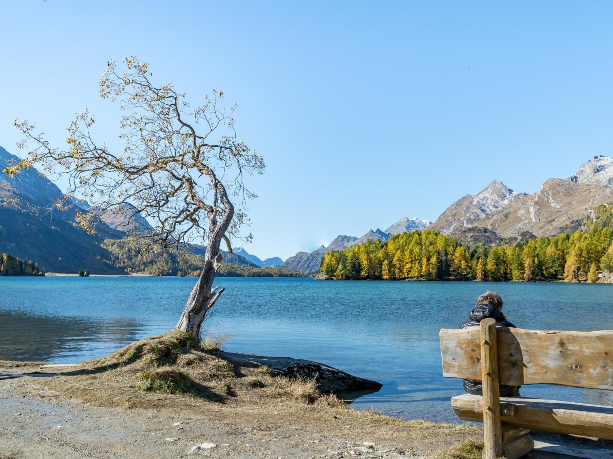 Hotel Chesa Pool Sils Maria Kültér fotó