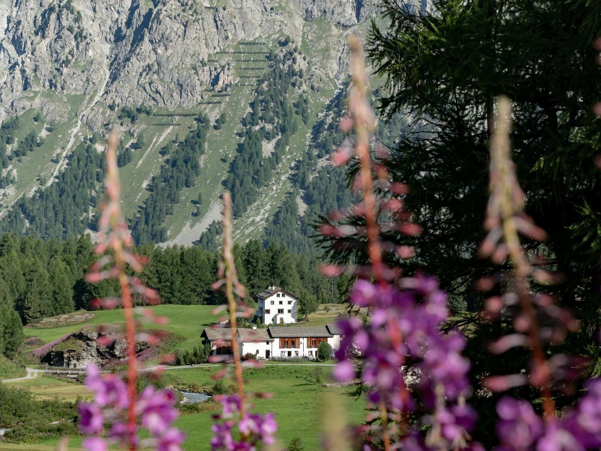 Hotel Chesa Pool Sils Maria Kültér fotó