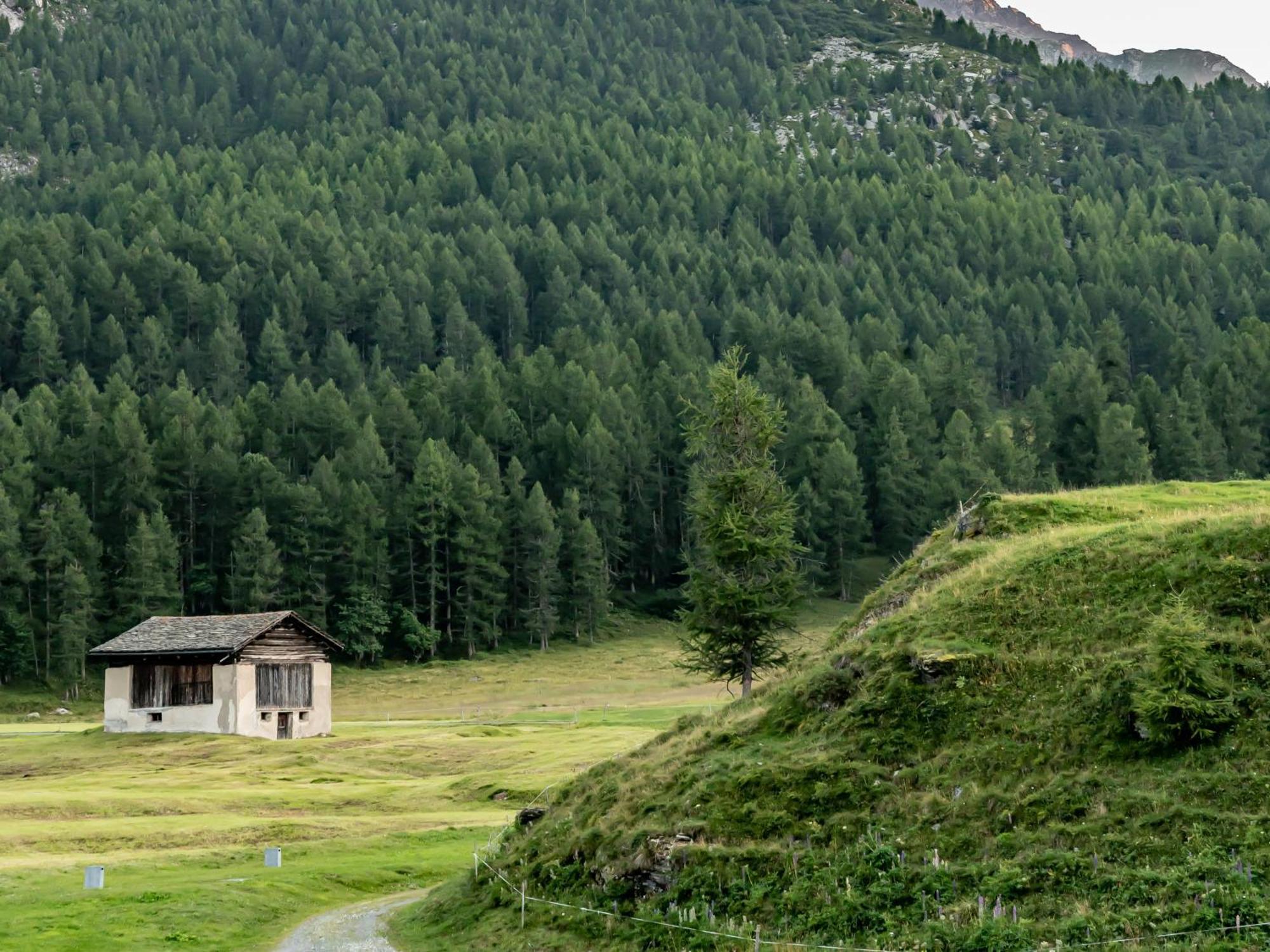Hotel Chesa Pool Sils Maria Kültér fotó